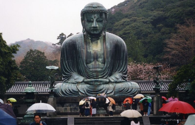 Kamakura Great Buddha Daibutsu statue umbrella